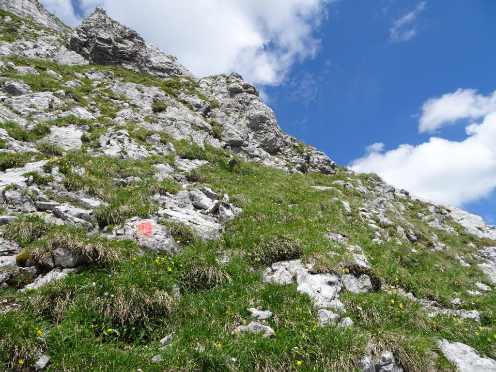 Follow the red dots marking the climbing route