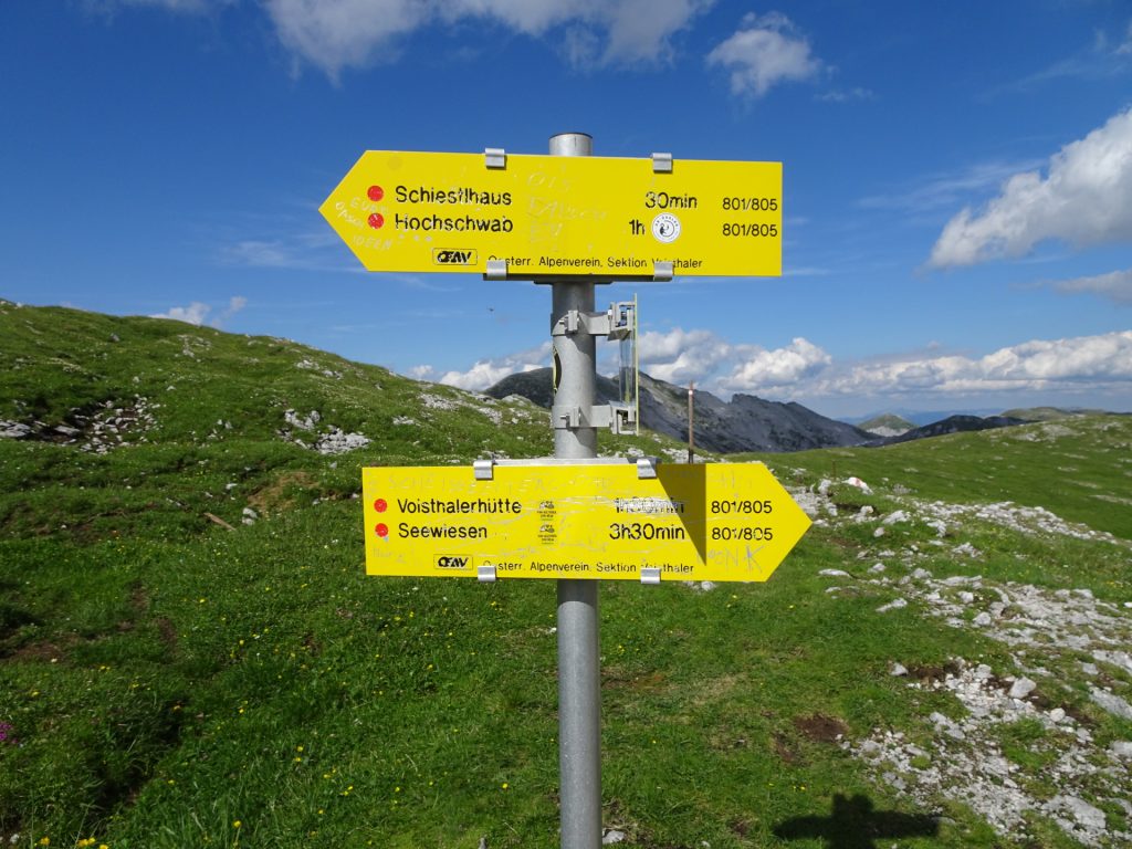Follow the trail towards "Voisthalerhütte"