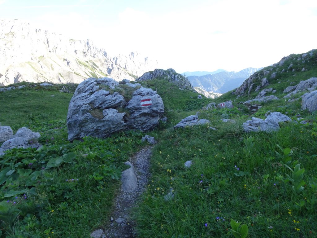 Follow the trail towards "Trawiesalm"