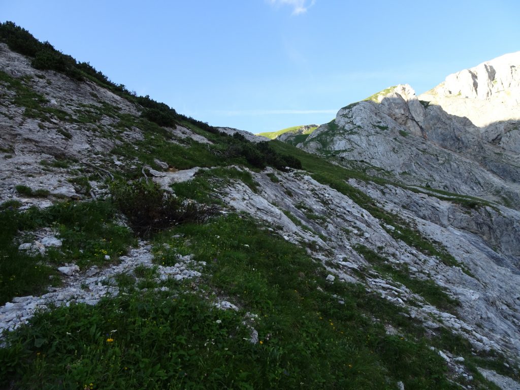 The slippery part of the trail (if not passed by using the "Vogelbac")