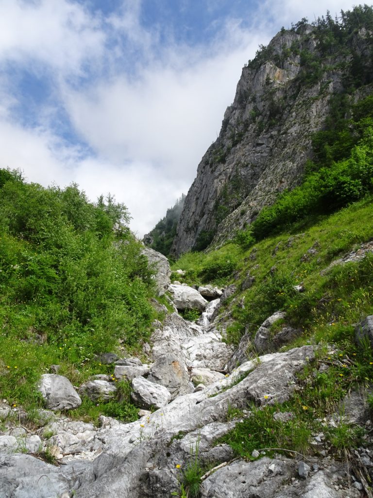 View from the trail through "Lohmgraben"