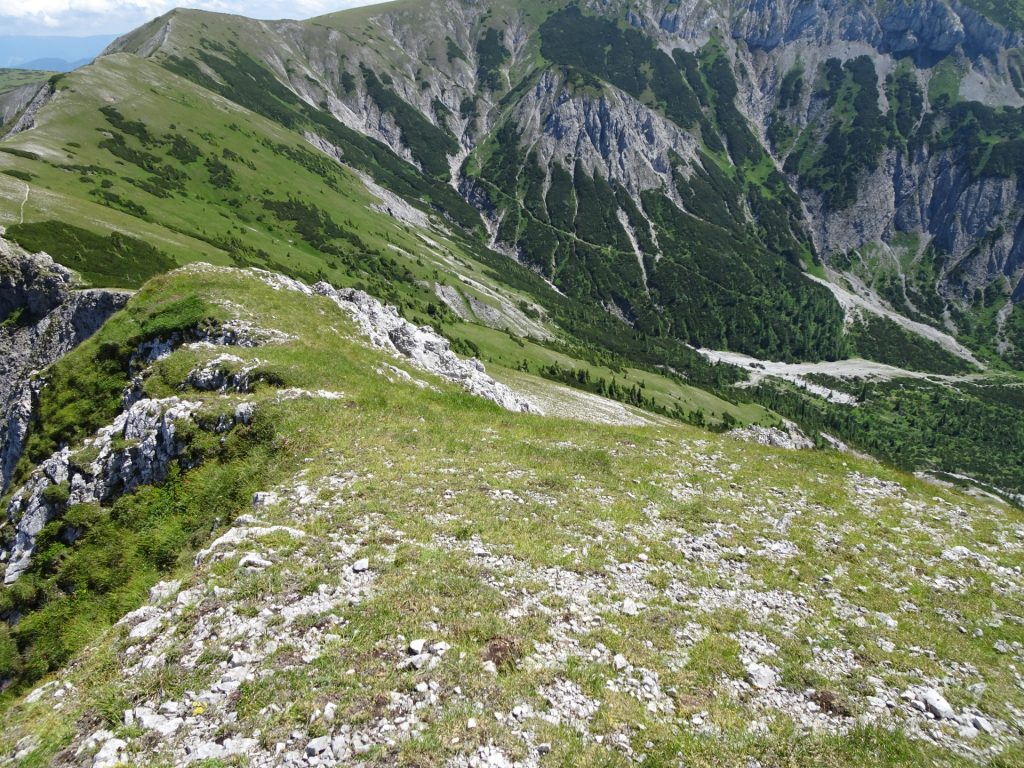 View from "Kleine Mitterbergwand"