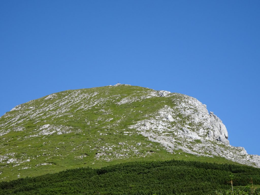 View back towards "Kleine Mitterbergwand"