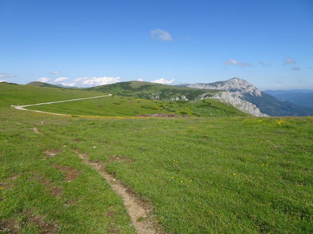 Hiking trail towards "Lurgbauerhütte"