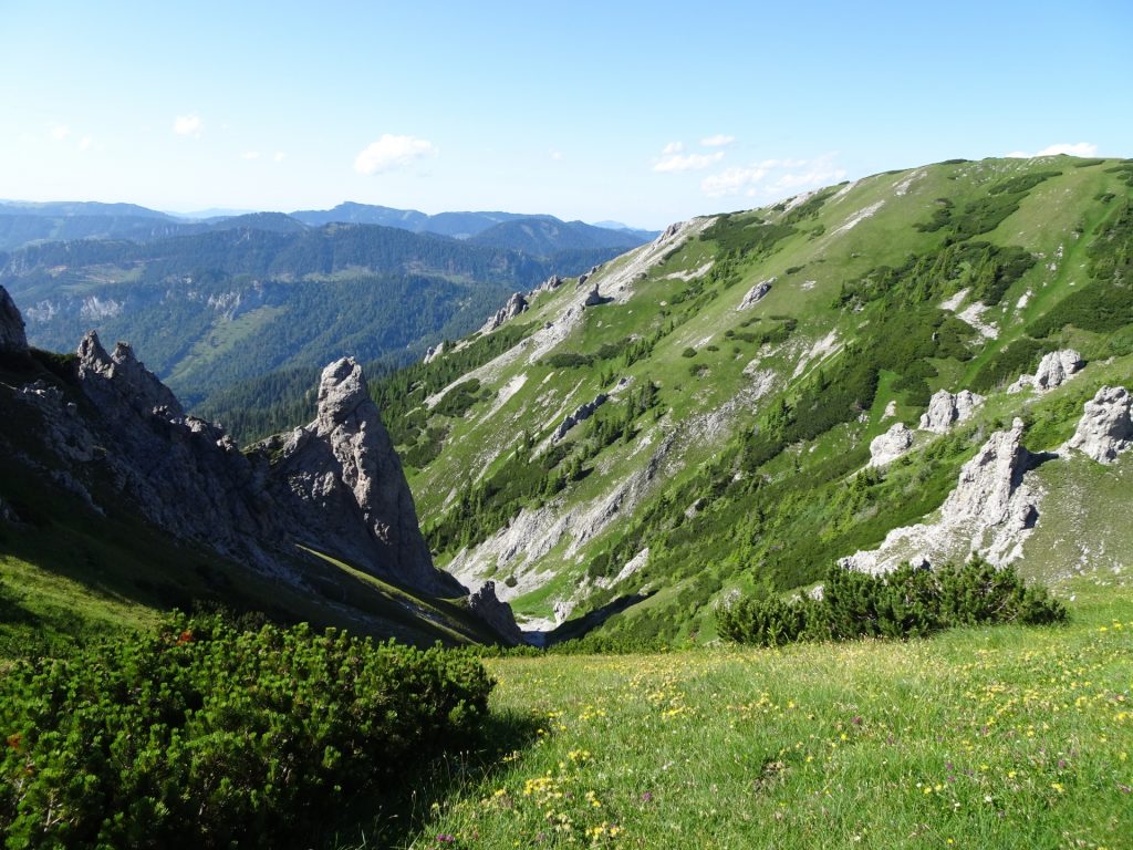 View from the trail towards "Lurgbauerhütte"