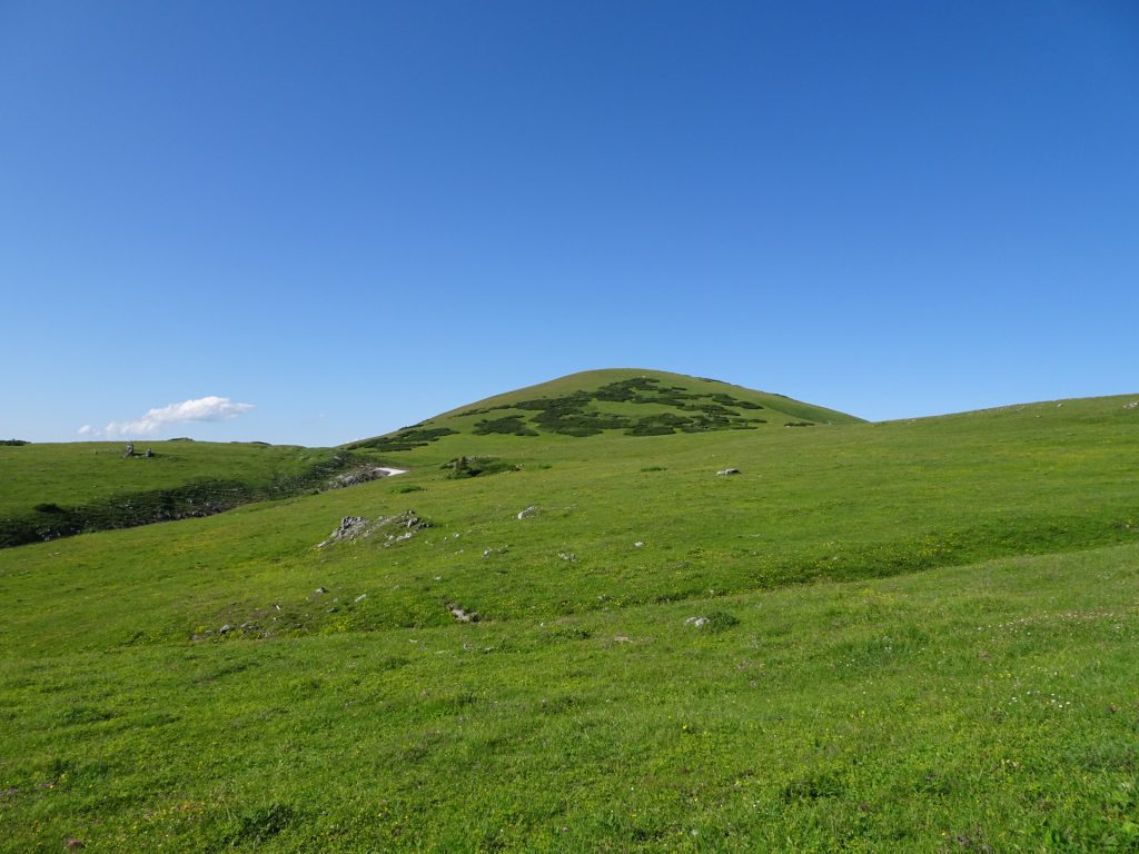 View up towards "Amaißbichl"