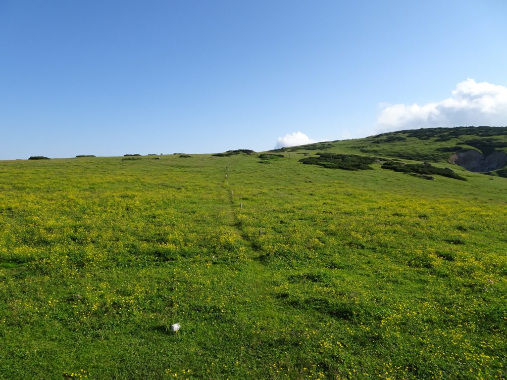 Trail towards "Schauerwand"