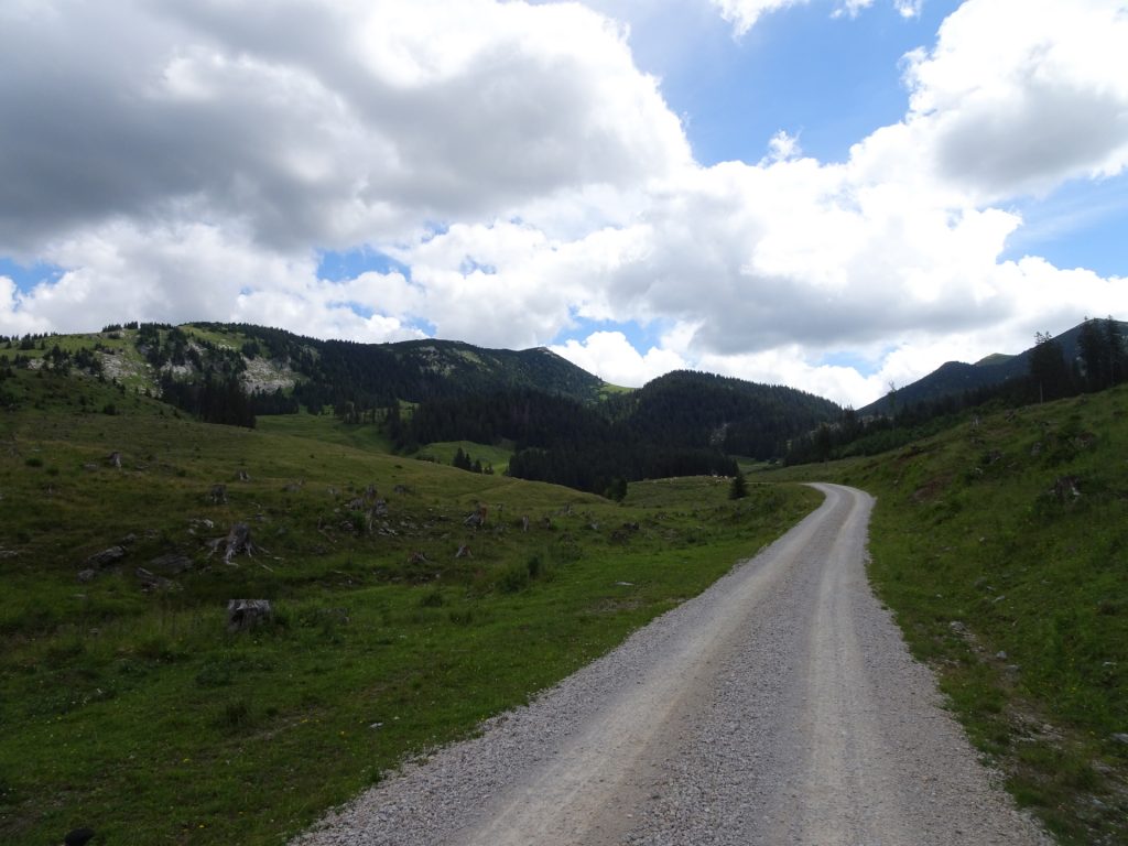 On the road towards "Bodenalm"