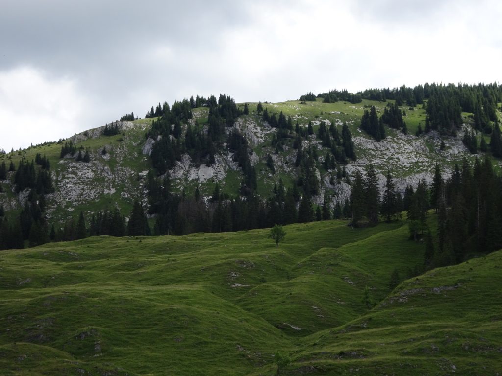 View from "Bodenalm"