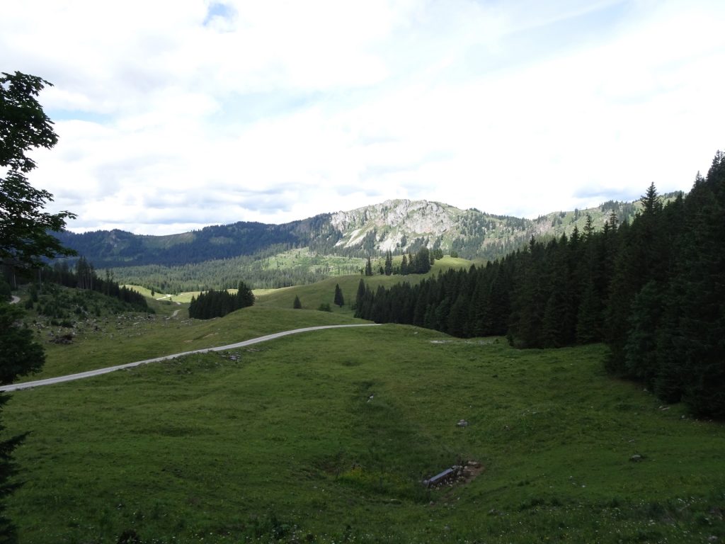 View back towards "Bodenalm"
