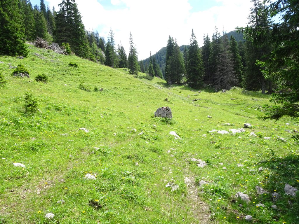On the trail towards "Großbodenalm"