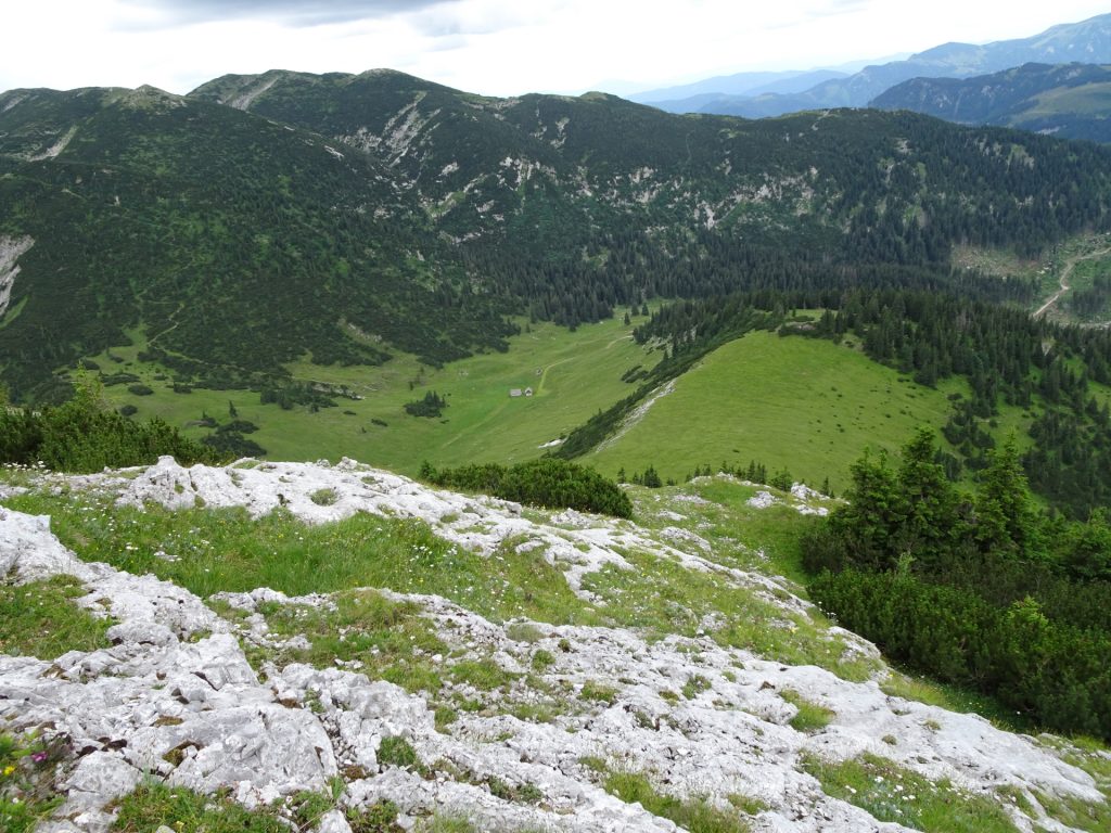 View back to "Großbodenalm"