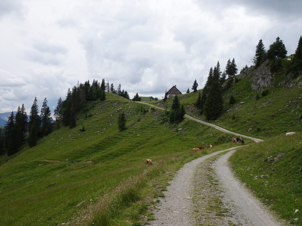 Approaching the "Waxenegghütte"