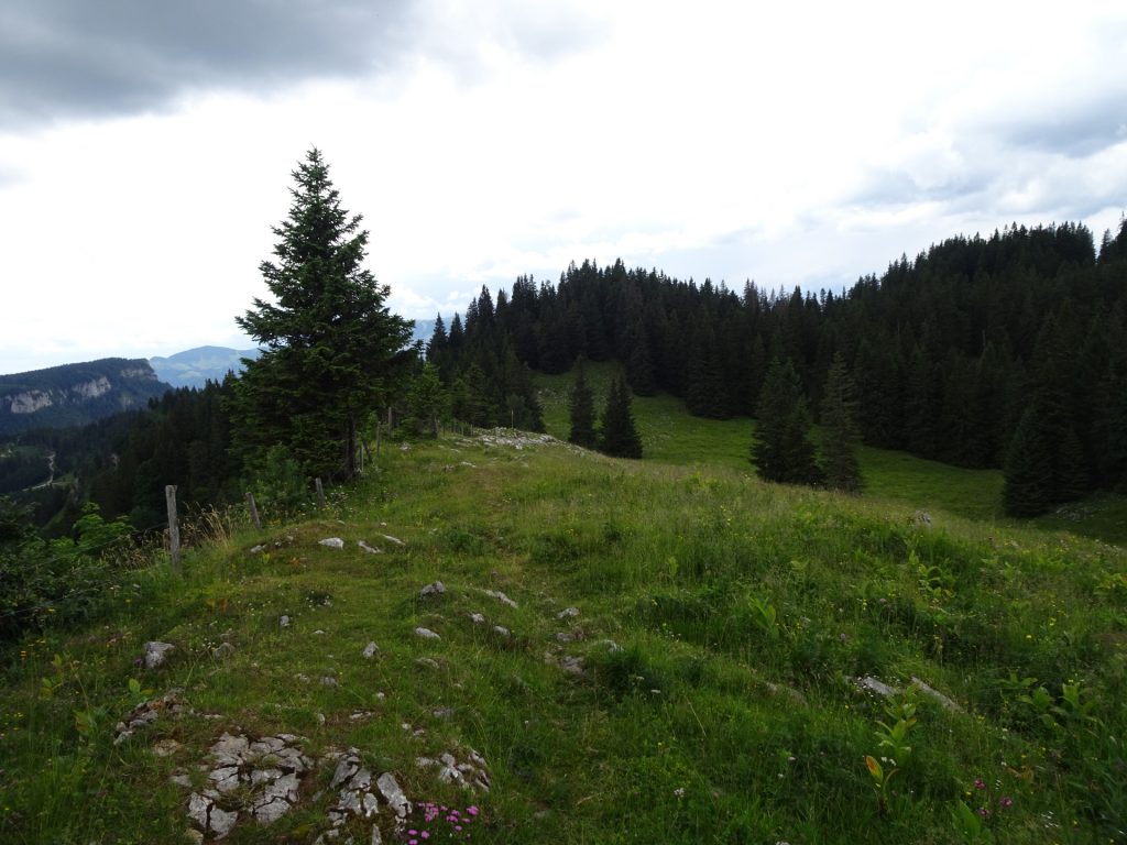 On the trail towards "Ochsenhalterhütte"