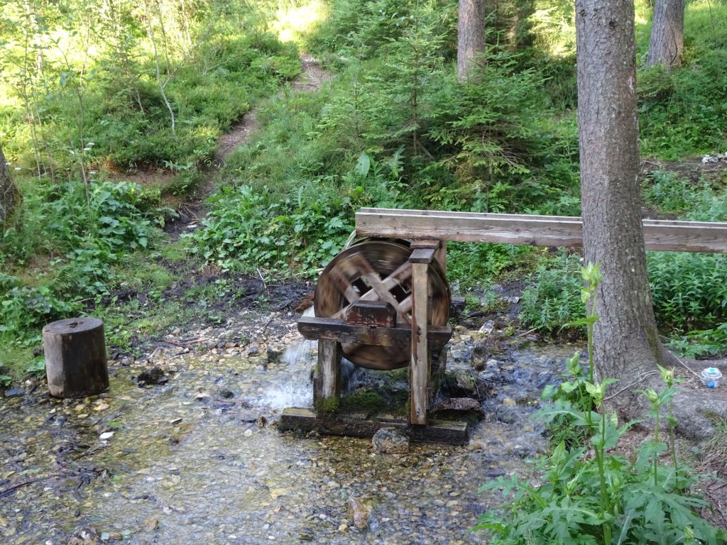 Nice water play seen on the trail towards "Kreuzteich"