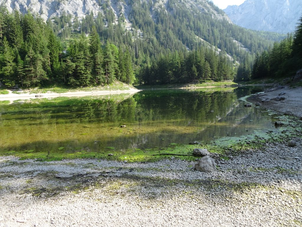 Hiking around the "Grüner See"