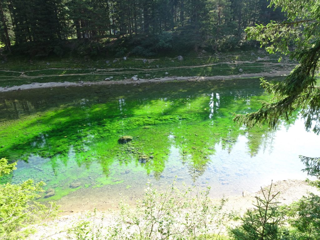 Hiking around the "Grüner See"