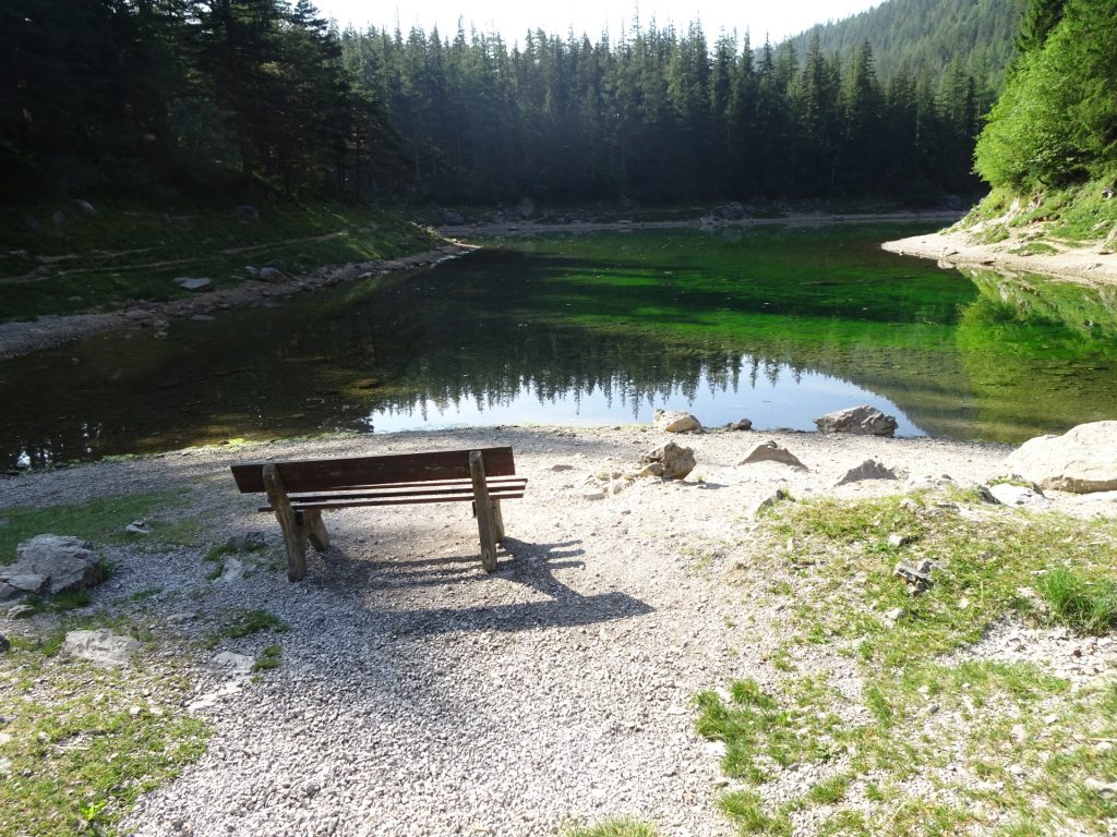 In spring, this bench is flooded