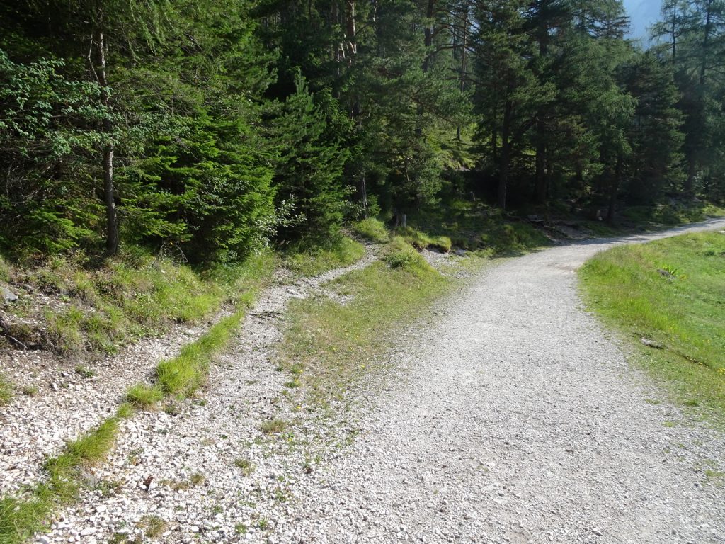 Take the small trail towards the upper road