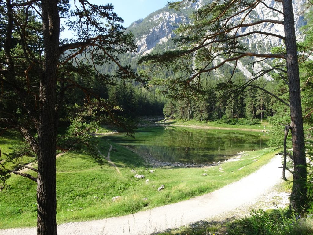 View back on the "Grüner See"