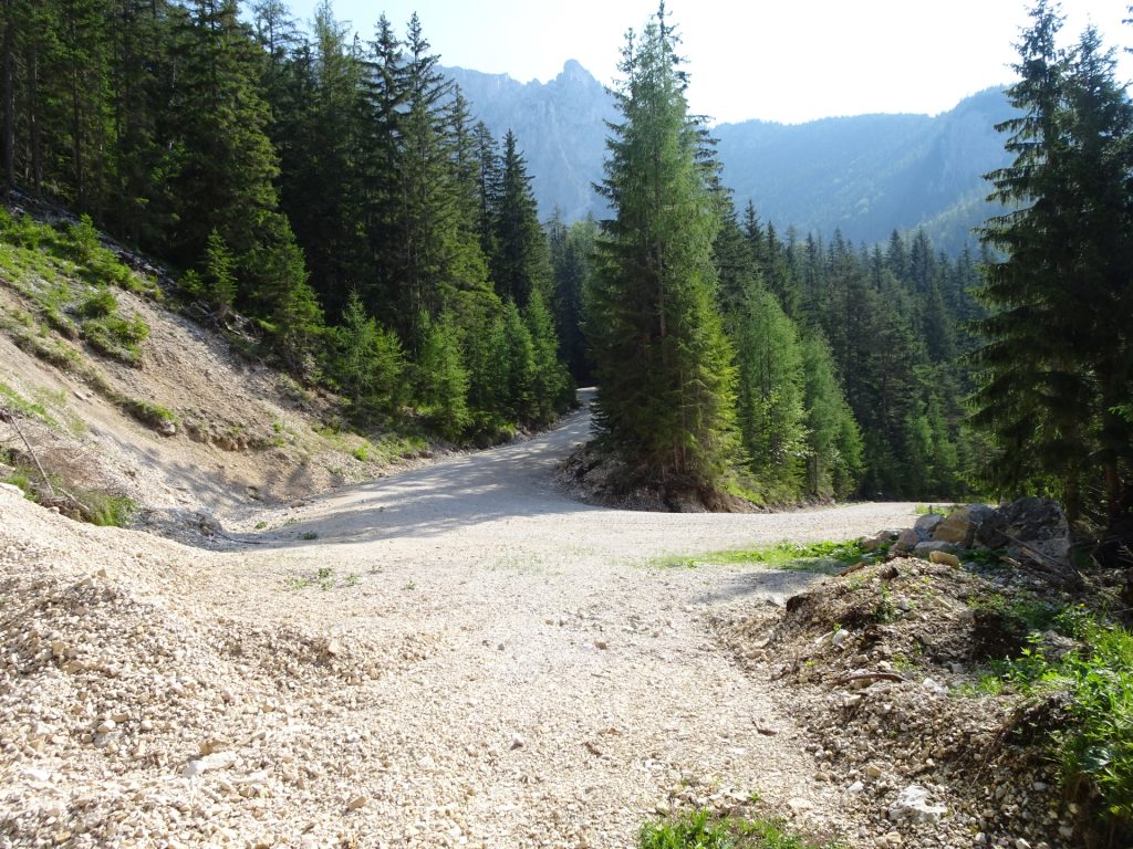 Keep straight and follow the road (left hand-side)