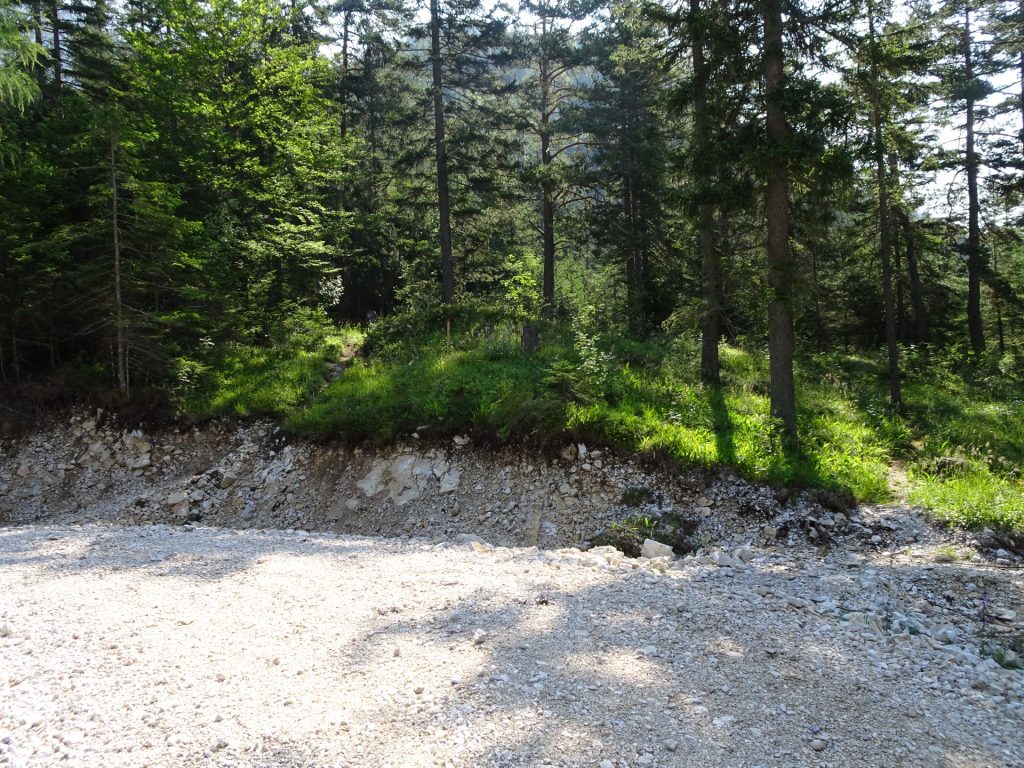 Follow the small trail behind the road!