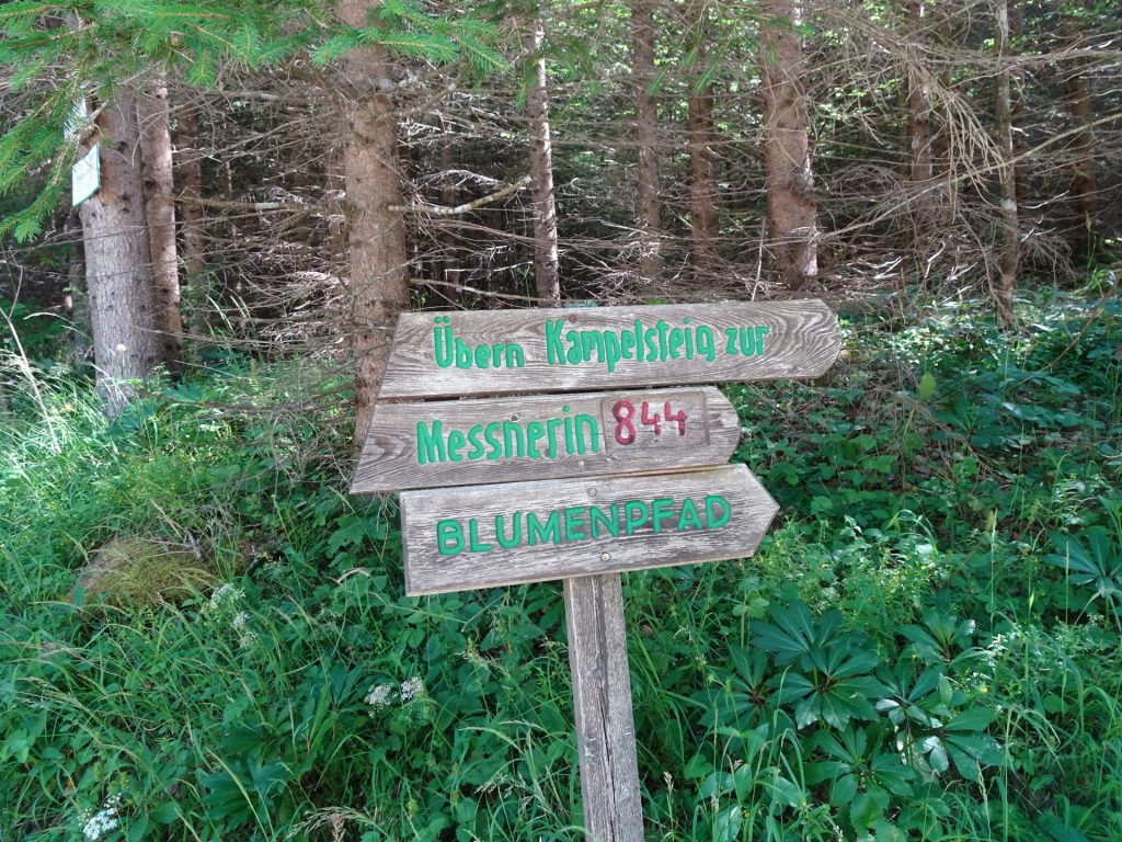 Follow the trail towards "Messnerin"