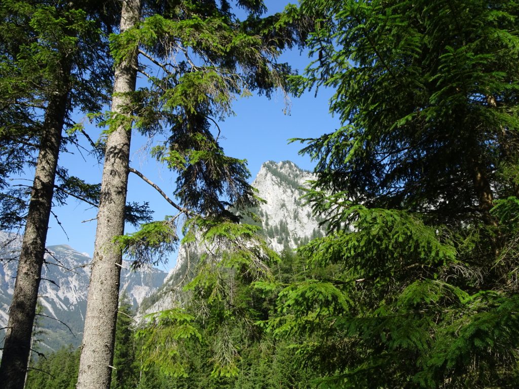 View from the trail