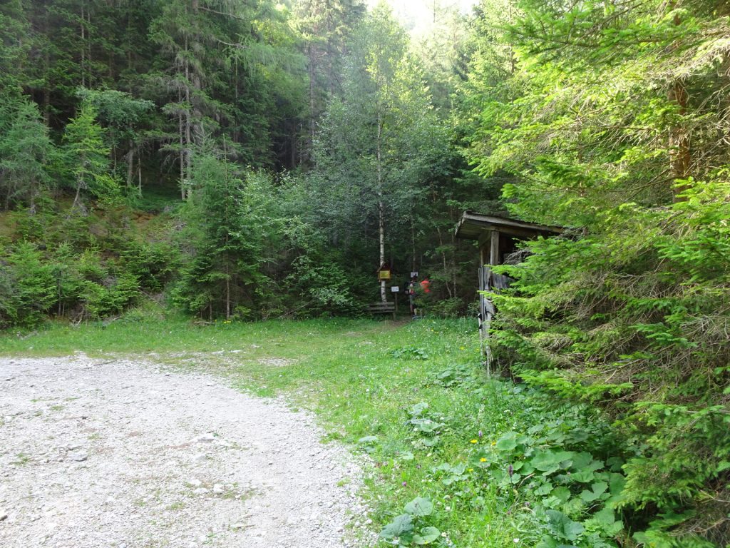 Keep straight ahead here (start of "Kamplsteig")