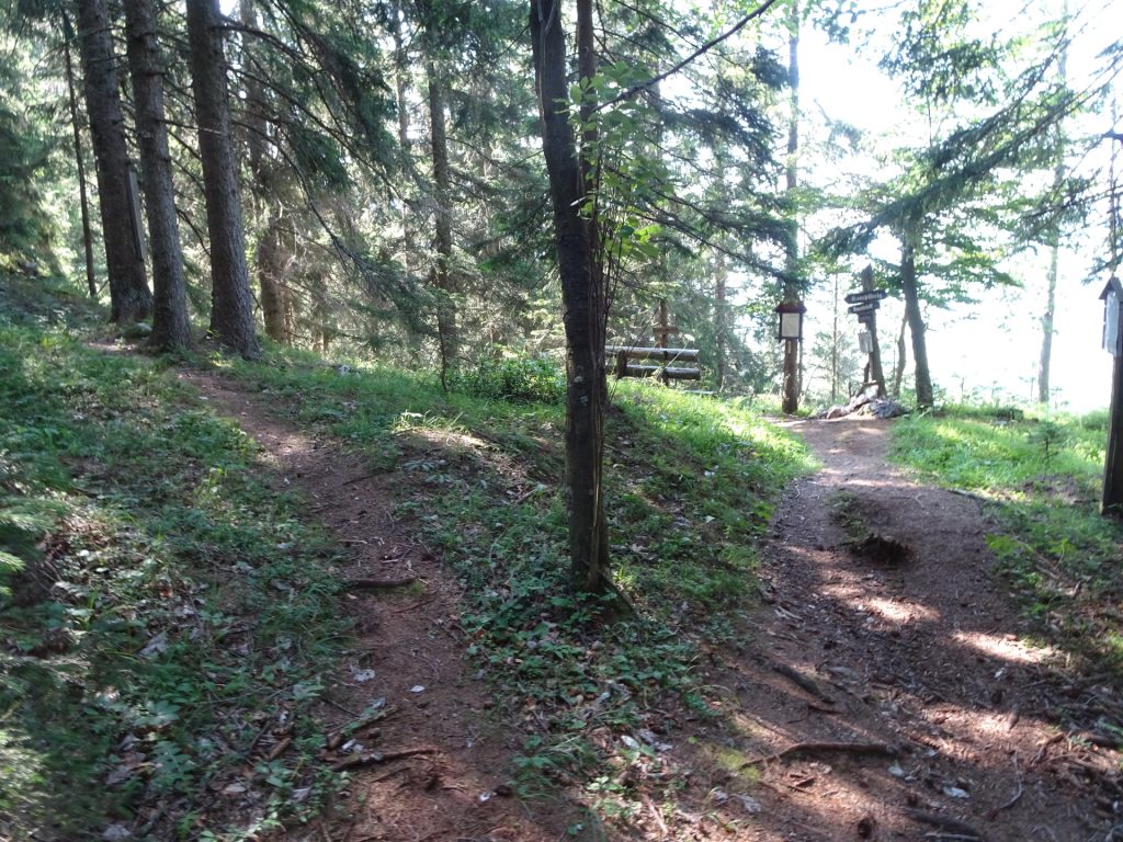 Follow the left trail towards upper "Kamplriedl" and "Messnerin"