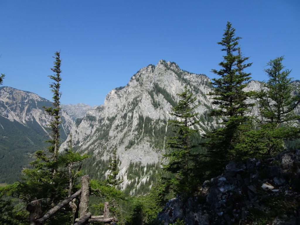 View from the trail