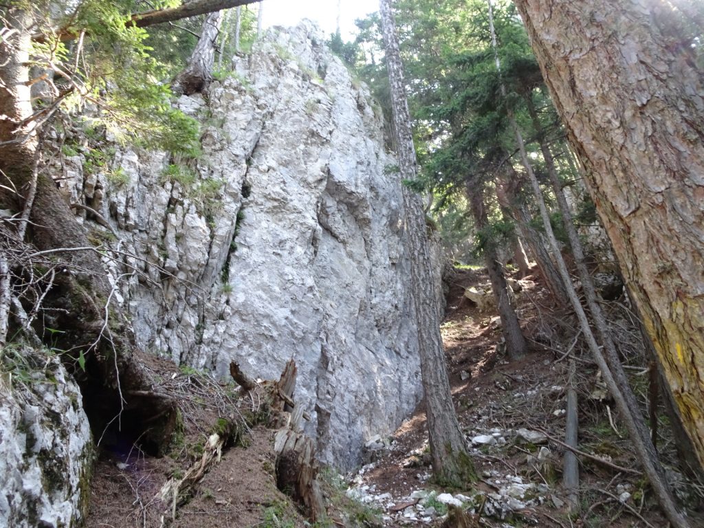 Towards the crux of the trail