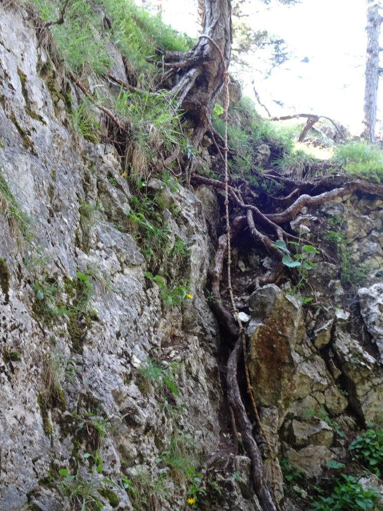 Short climbing passage up to "Kamplriedl"