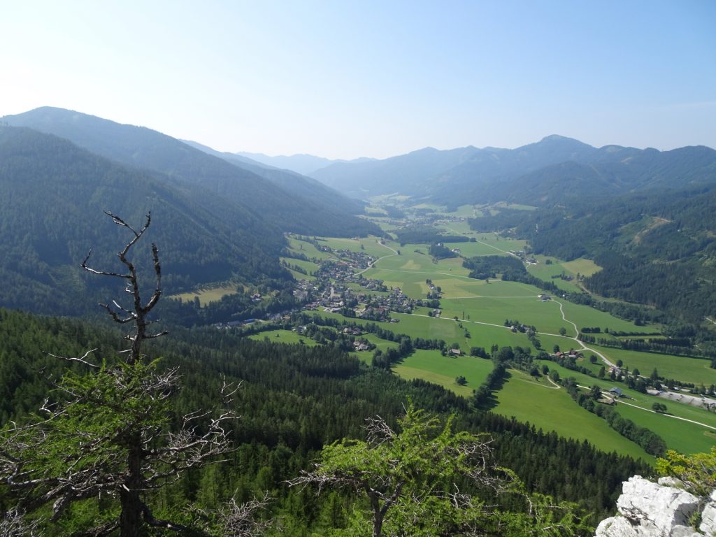 View from the upper "Kamplriedl"