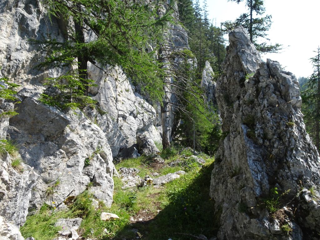 Trail towards "Lahnerweg"