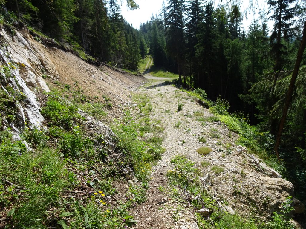 Stay straight ahead and follow the "Lahnerweg" upwards