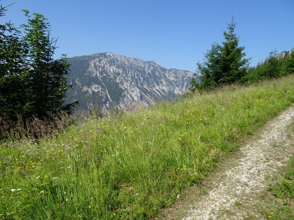 View from "Lahnerweg"