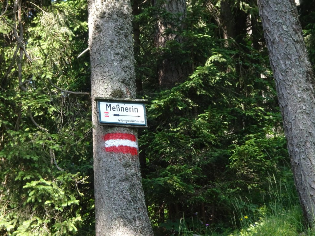 Follow the red-white-red marked trail to "Messnerin"