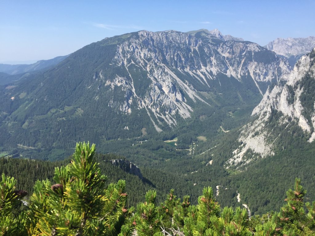 View towards "Grüner See" from the view point