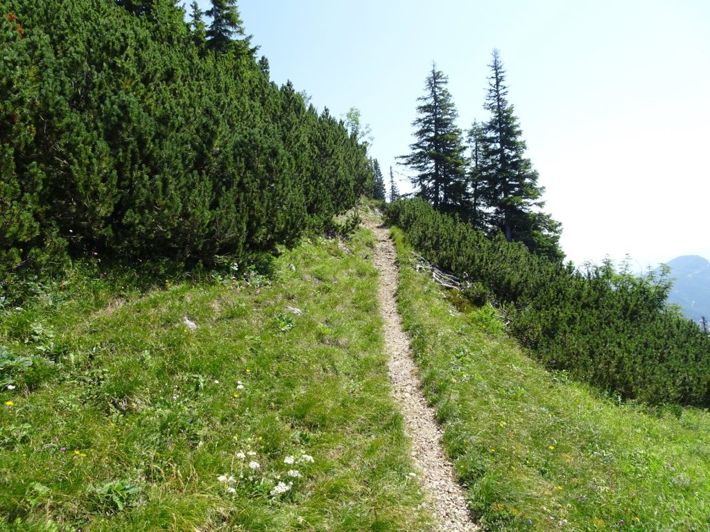 On the trail up to the "Messnerin" plateau