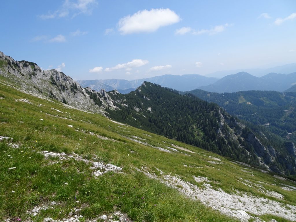 Traversing towards "Pillsteiner Höhe" (trail can be seen far back)