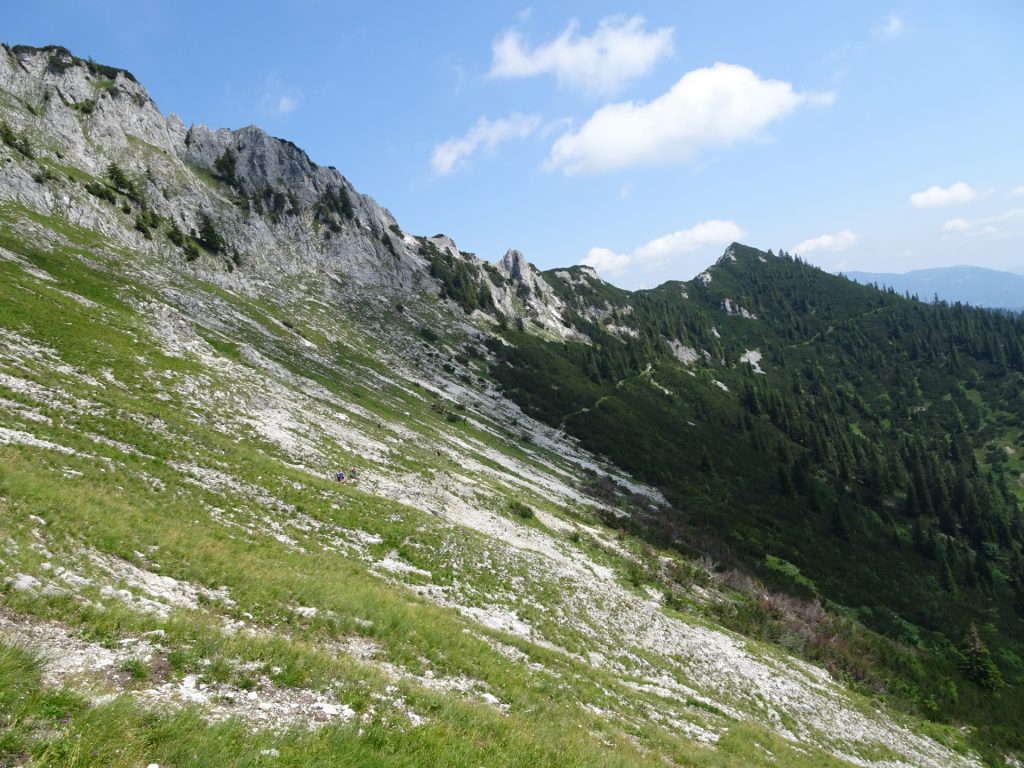 Towards the trail to "Pillsteiner Höhe"