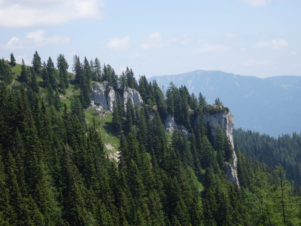 View from the trail