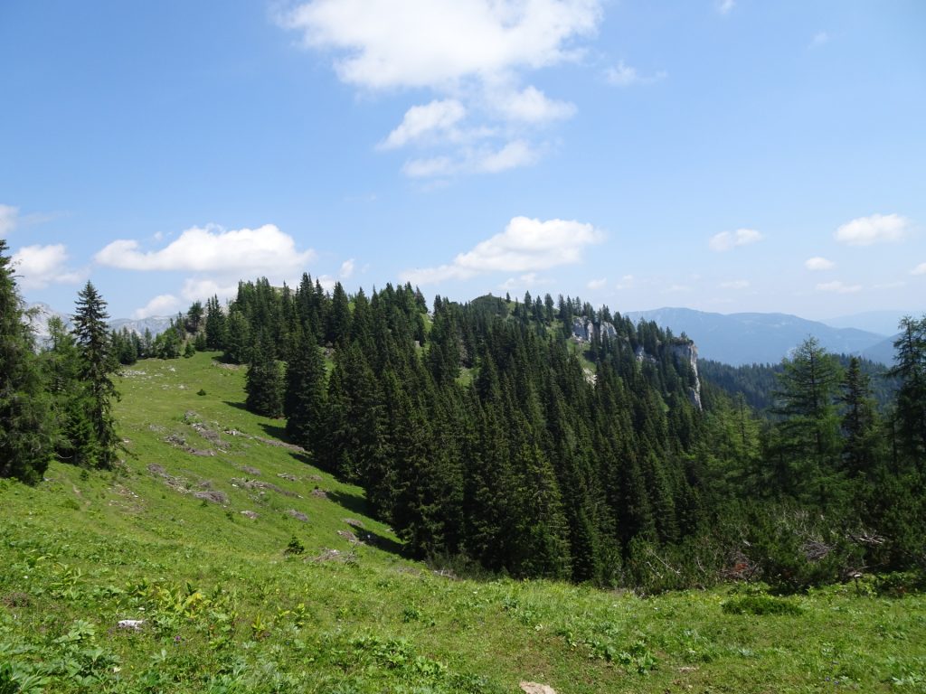 On the trail towards "Pillsteiner Höhe"