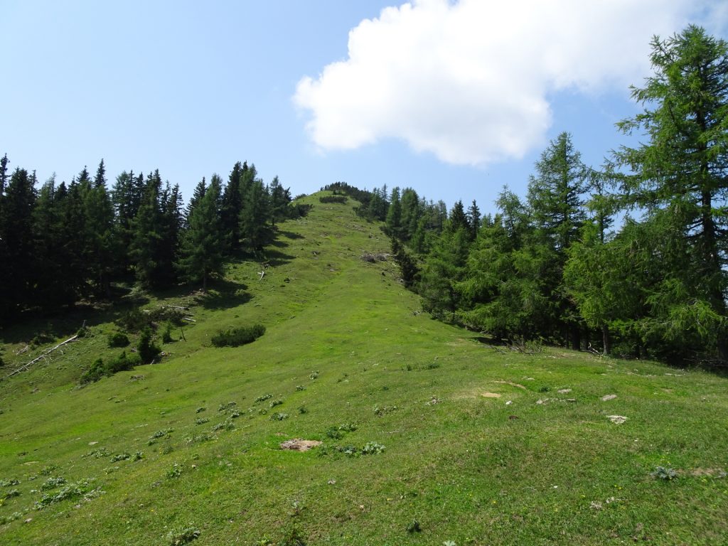 View back from the saddle