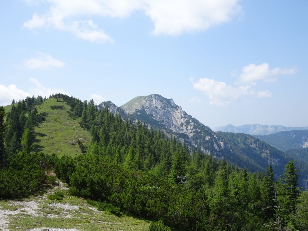 View back to "Messnerin" from "Pillsteiner Höhe"