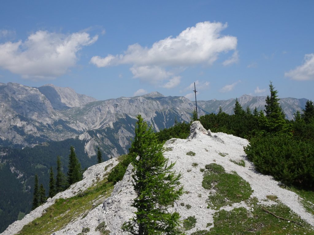 At the "Pillsteiner Höhe"