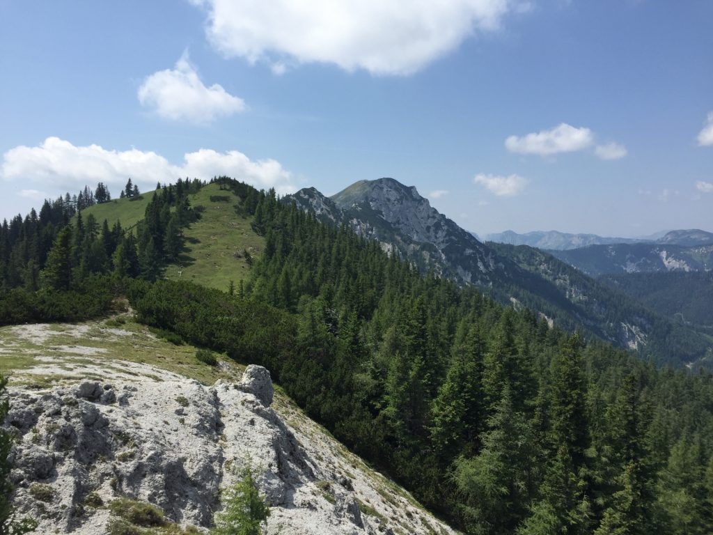 View from "Pillsteiner Höhe"