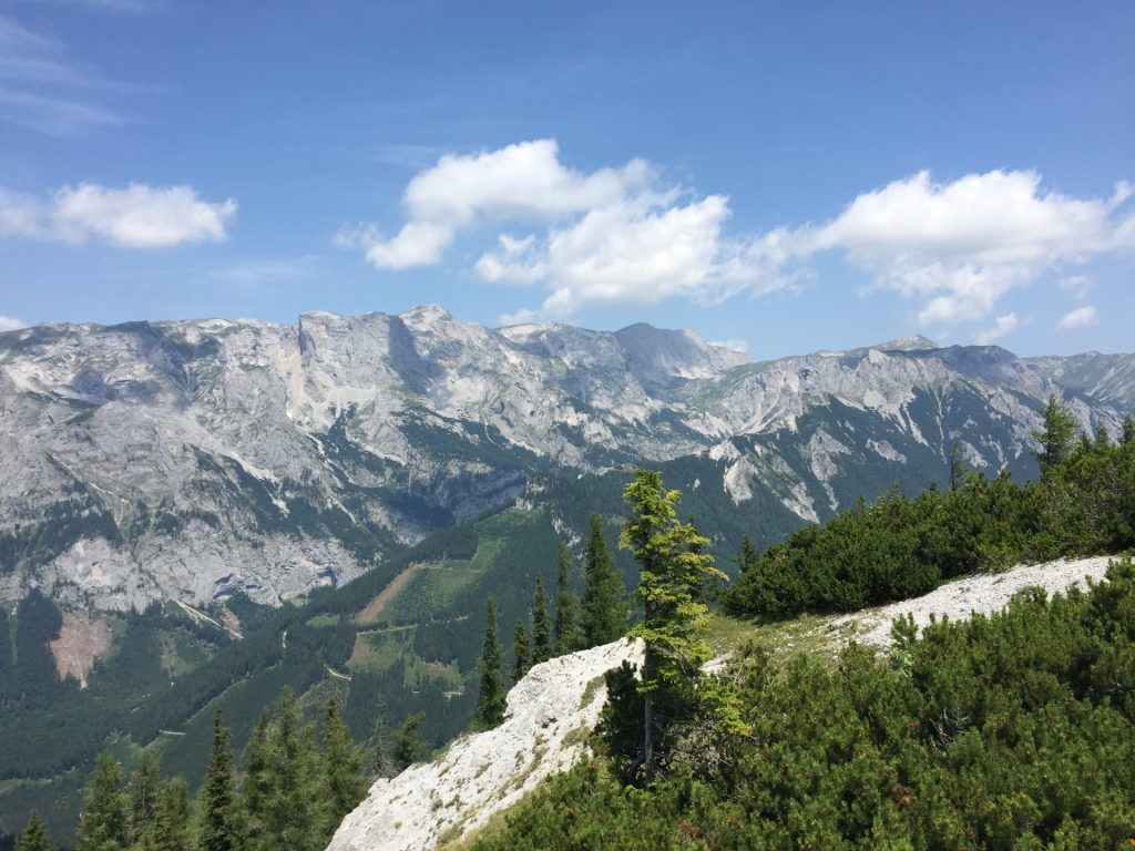 View from "Pillsteiner Höhe"