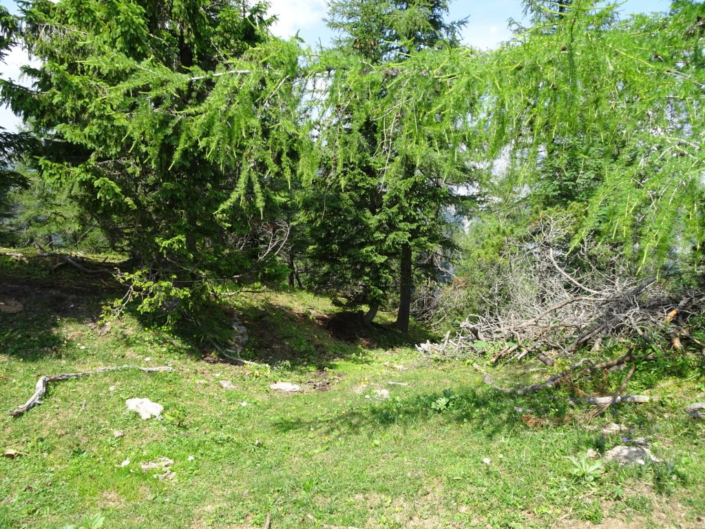 Unmarked, abandoned trail downwards